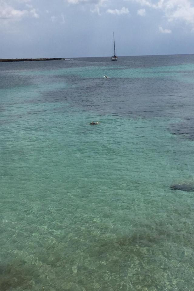 Villa サバウディア エクステリア 写真